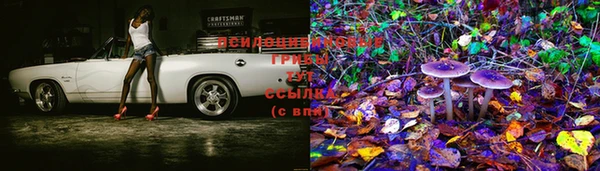 марки lsd Алексин