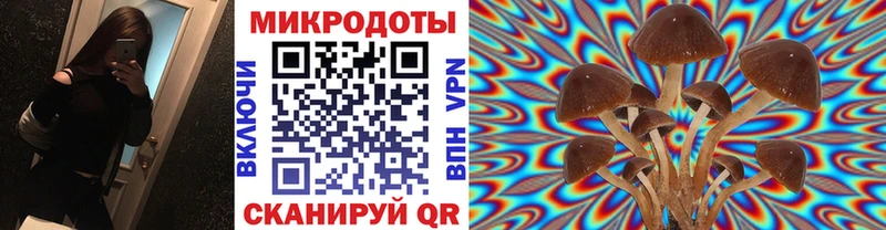 Галлюциногенные грибы Psilocybe  Поронайск 